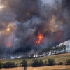 Balkan u borbi protiv šumskih požara: "Klimatska katastrofa" sve više uzima maha