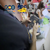 Hapšenja u Španiji zbog ilegalnog krijumčarenja, migranti plaćali do 20.000 eura za dolazak u EU