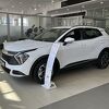 U sedmom mjesecu blaga stagnacija tržišta, Citroen i Kia izvukli najviše