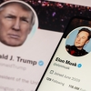 Divlji intervju Elona Muska i Donalda Trumpa: Početak kasnio 40 minuta, skupa vrijeđali Harris