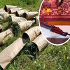 Uhapšen dvojac osumnjičen da je na obali rijeke u Doboju imao plantažu indijske konoplje