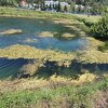 Inspekcija: Bazeni u banjalučkom Vodovodu djeluju zapušteno i neuredno