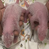 Panda stara 19 godina na svijet donijela blizance