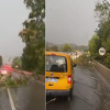 Jako nevrijeme zahvatilo Doboj, vjetar obarao stabla na cestu, saobraćaj otežan