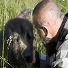 Dobri ljudi iz BiH spasili šarplaninca koji je gladan i preplašen lutao ulicama