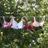 Na Vilsonovom šetalištu okačeno 2.000 grudnjaka: Podrška ženama oboljelim od karcinoma dojke