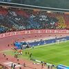 Navijači Zvezde uoči utakmice s Benficom priredili koreografiju na tri tribine