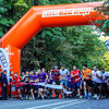Audi B2B Run: Sarajevo spremno za najveći poslovno-sportski spektakl