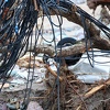 Elektroprivreda BiH: Snabdijevanje struje vraćeno za 3.000 domaćinstava u Konjicu i Jablanici