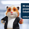 Addiko Bank d.d. Sarajevo: Mi znamo da posao ne može čekati