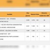 Anes Osmanović (SDA) je definitivno novi načelnik Odžaka, presudili glasovi poštom