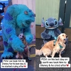 Vlasnica ispunila posljednju želju svom psu: Upoznao omiljene junake u Disney Worldu pa zaplakao