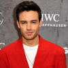 Liam Payne osjećao se usamljeno: Prije smrti razgovarao s dvije osobe