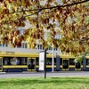 Sarajevo u svom jesenjem ruhu: Idilični prizori prirode u gradskim parkovima i na šetalištima