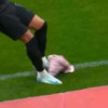 Odsječena svinjska glava prekinula veliki derbi, Brazilac je šutirao van terena