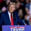 Trump planira deportaciju 11 miliona ljudi, stručnjaci kažu da će to koštati desetine milijardi dolara