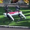 Robotski pas postao dio sigurnosnog tima Donalda Trumpa