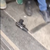 U sukobima s demonstrantima pred sudom u Novom Sadu policajcu ispao pištolj
