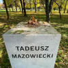 Ambasada Poljske uputila diplomatsku notu BiH zbog nestanka biste Tadeusza Mazowieckog