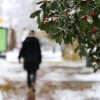 Dvosedmična prognoza: Snijeg će u BiH padati još sutra, ostalim danima sunčano uz niže temperature