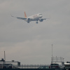 Snijeg izazvao probleme na aerodromu u Sarajevu: Otkazani letovi, ali se situacija stabilizuje