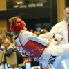 U Sarajevu održan taekwondo turnir Bosnia Open G1/E1, uspješan nastup bh. takmičara