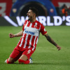 Krunića i ekipu čekaju ogromne premije: Koliko je Zvezda zaradila nakon nevjerovatne pobjede