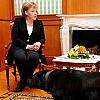 Merkel u memoarima opisala kako se davne 2007. uplašila Putinovog psa, on joj se sada izvinio