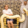 Modrić posjetio zoološki vrt u Dubaiju, hranio je medvjeda, mazio tigra i pozirao s pitonom