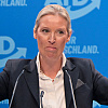 AfD usvojio predizborni program: Žele da Njemačka odbaci euro i protjera migrante