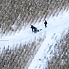 Nevjerovatna situacija iz Ukrajine: Sjevernokorejski vojnik odbio predati kobasicu prilikom predaje