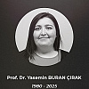 Porodica koja je poginula kod Konjica su turski državljani, majka bila doktorica u Turskoj