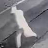 Muškarac tokom noći zapalio ugostiteljski objekat u Mostaru, nadzorne kamere ga snimile