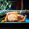 Provedite subotu u Narodnom pozorištu uz nagrađivanu predstavu "Hedda Gabler"