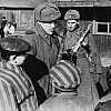 Putin pobjesnio zbog navodnog ignorisanja uloge Crvene armije u Auschwitzu: "To je sramota"