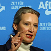 Alice Weidel se odbila izviniti za komentare o Holokaustu, ponovila da se "Njemačka treba riješiti kulta krivice"