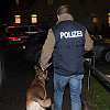 Europol o velikoj akciji u Sloveniji i BiH: Razbijena opasna kriminalna mreža, uhapšeno pet bh. državljana
