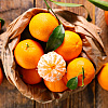 Koje su prednosti redovnog konzumiranja mandarina