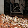 Stanovnici Širokače u Sarajevu zabrinuti: Poplavljene kuće, saobraćaj u ulici Komatin blokiran