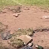 Kultni stadion neprepoznatljiv poslije velike proslave plasmana u viši rang