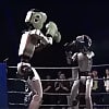 U Kini održan prvi bokserski turnir robota, pobjednik nokautom savladao protivnika u finalu