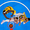 Uzbudljivije od ovoga ne može! Indiana pobijedila Oklahomu u NBA finalu košem 0,3 sekunde prije kraja