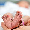 Baby boom u Hercegovini: U Mostaru tokom proteklog vikenda rođene 23 bebe