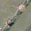 Ukrajinska vojska pokrenula novu operaciju "Dronocid", uništili 42 pozicije odakle Rusi upravljaju dronovima