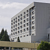SKB Mostar registrovao tri slučaja hospitalizacija zbog ugriza zmije otrovnice, osiguran serum