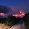 Požari zahvatili Hercegovinu, vatrogasci uspjeli spriječiti vatru da se probije do kuća