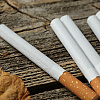 U Crnoj Gori uništeno više od 930 tona zaplijenjenih cigareta