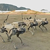 Kinezi predstavili naoružane "robotske vukove"