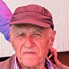 Godina dana od nestanka povratnika Alije Selimbašića sa Sokoca, istraga se nije pomakla sa mrtve tačke