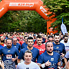 Na Vilsonovom šetalištu održana utrka Audi B2B Run: Evo koje kompanije i pojedinci su bili najbrži